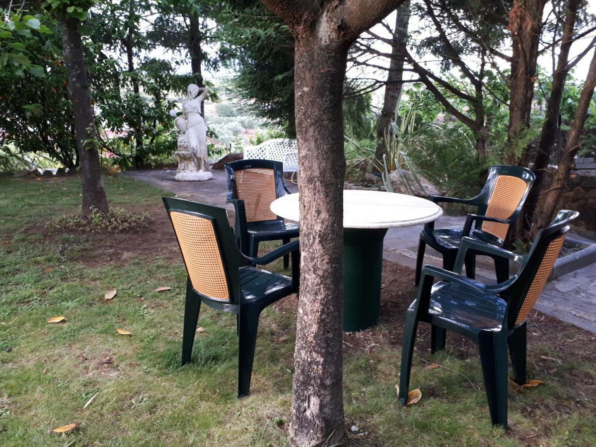 Quintinha Dos Cedros Villa Alfândega da Fé Eksteriør bilde
