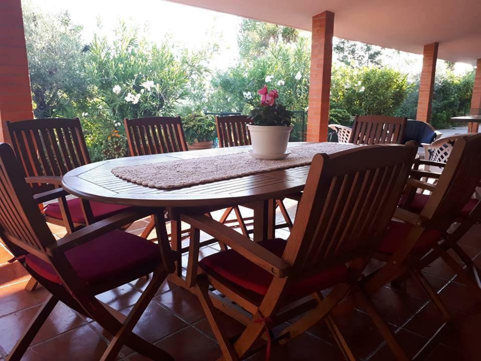 Quintinha Dos Cedros Villa Alfândega da Fé Eksteriør bilde